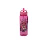 LOL Surprise! 650ml Water Bottle 41-0808