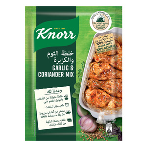 Knorr Garlic & Coriander Mix 37 g