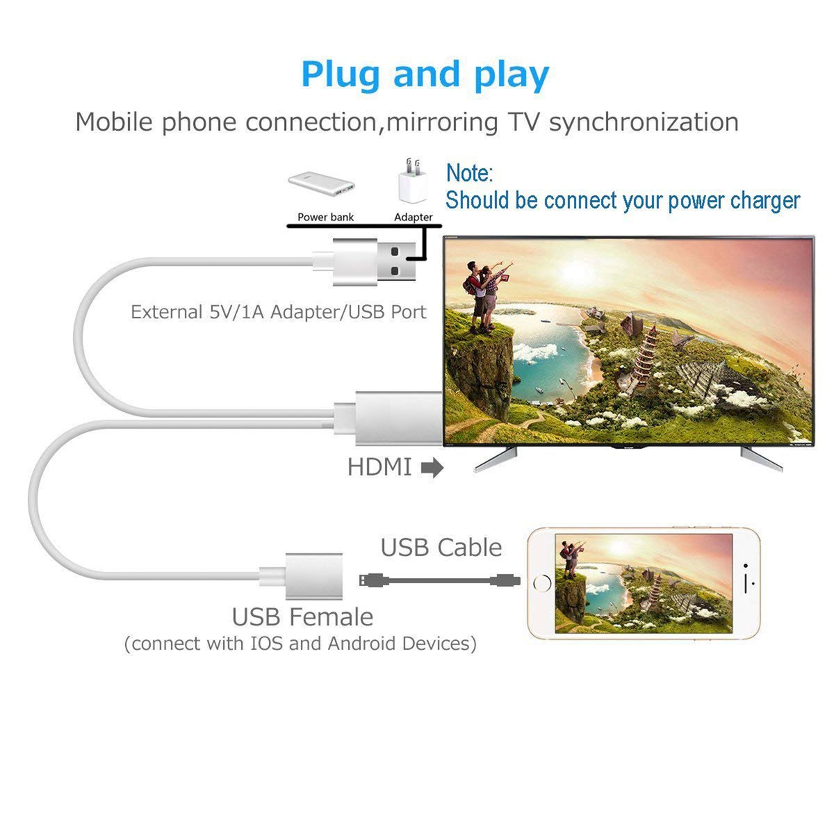 Trands HDTV Cable HDMI USB Female USB TR-MHL581