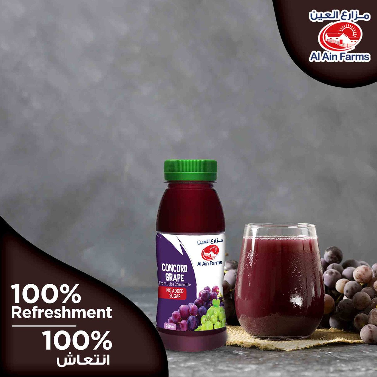 Al Ain Concord Grape Nectar 200 ml