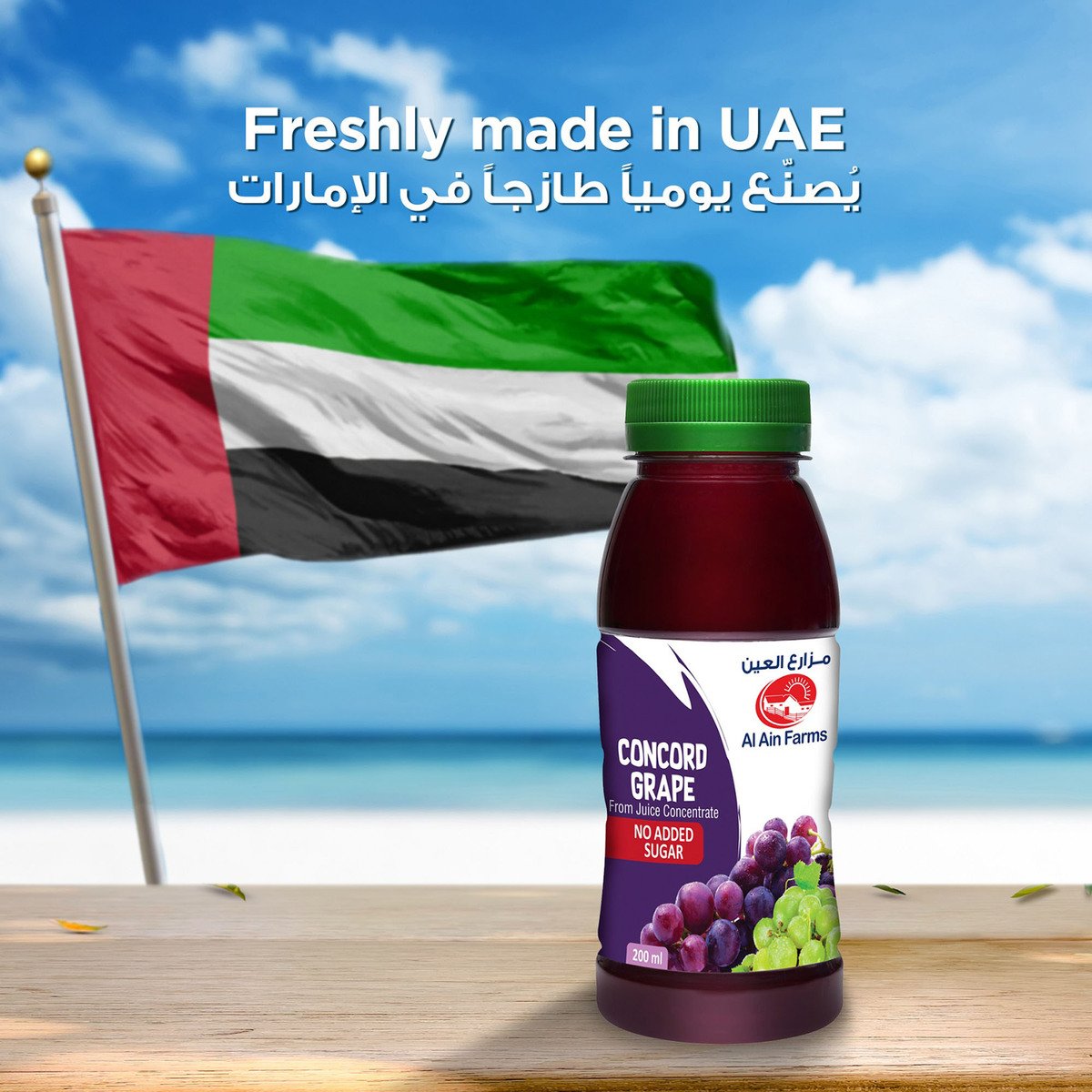 Al Ain Concord Grape Nectar 200 ml