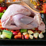 Fresh Whole Turkey 2.5 kg-3.5 kg