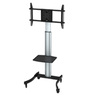 Fanar TV Stand With Bracket 80180