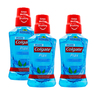 Colgate Mouthwash Assorted 250 ml 2+1