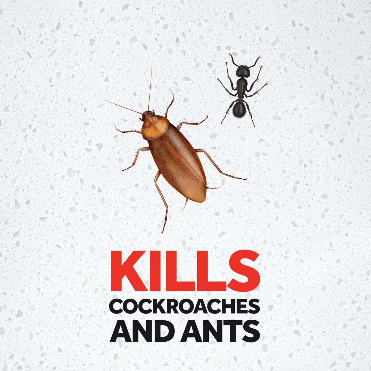 2 X 250g RAID Ant & Cockroach Killer Powder Insecticide Continous  Protection