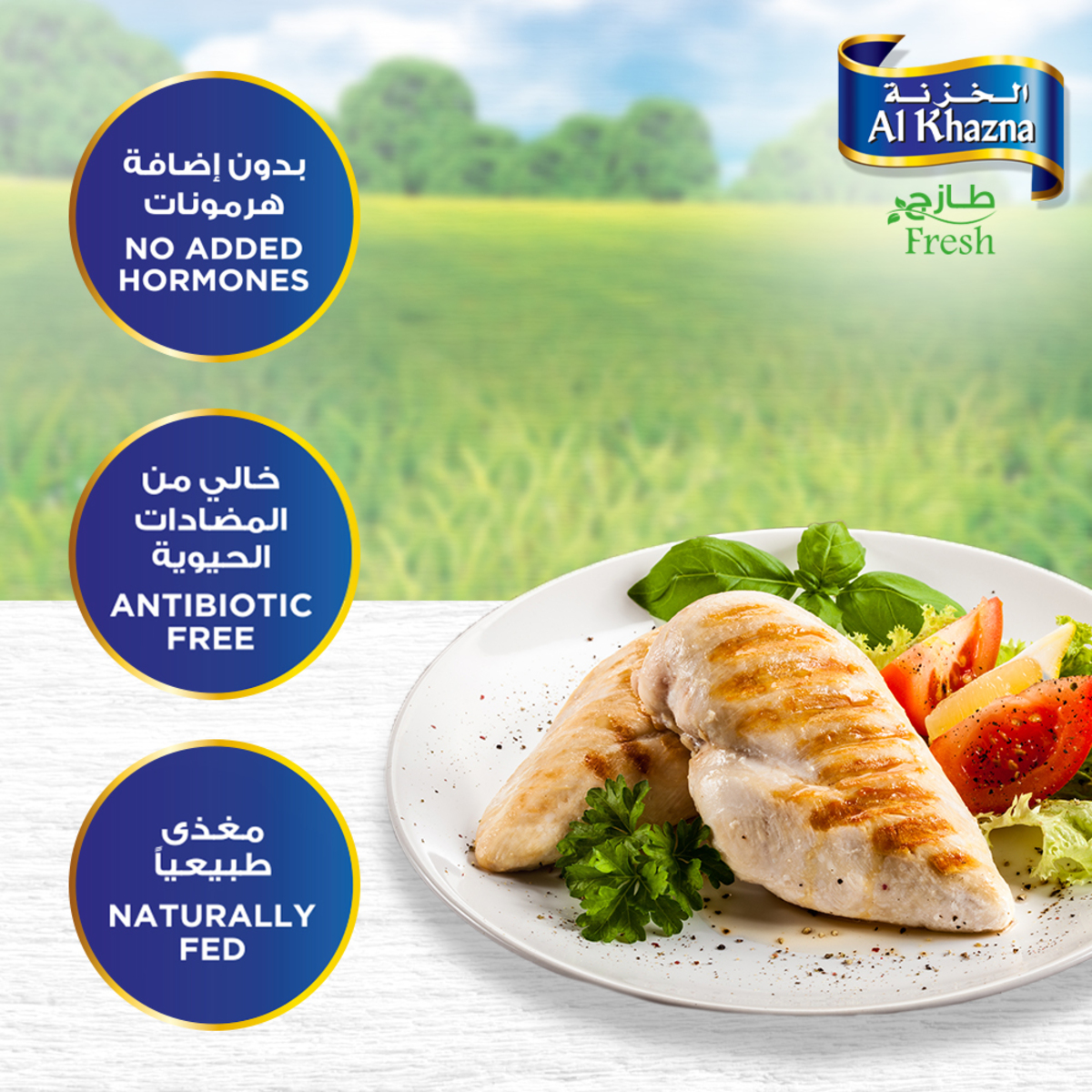 Al Khazna Fresh Chicken Breast Boneless 1 kg