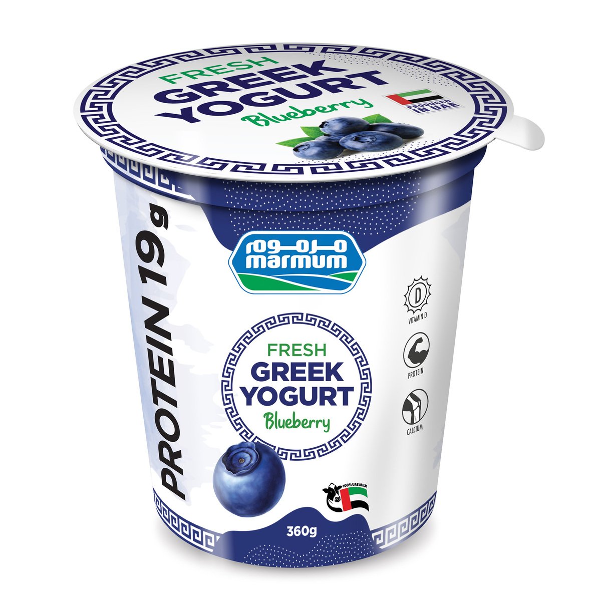 can dogs have blueberry greek yogurt