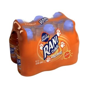 Rani Orange Fruit Drink 6 x 250 ml