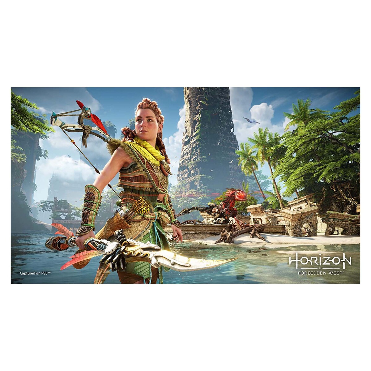 Sony PS5 Horizon Forbidden West Standard Edition