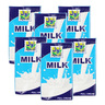 Awal Junior Milk Full Cream 125ml