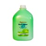 Kamena Liquid Hand Soap Apple 4 Litre