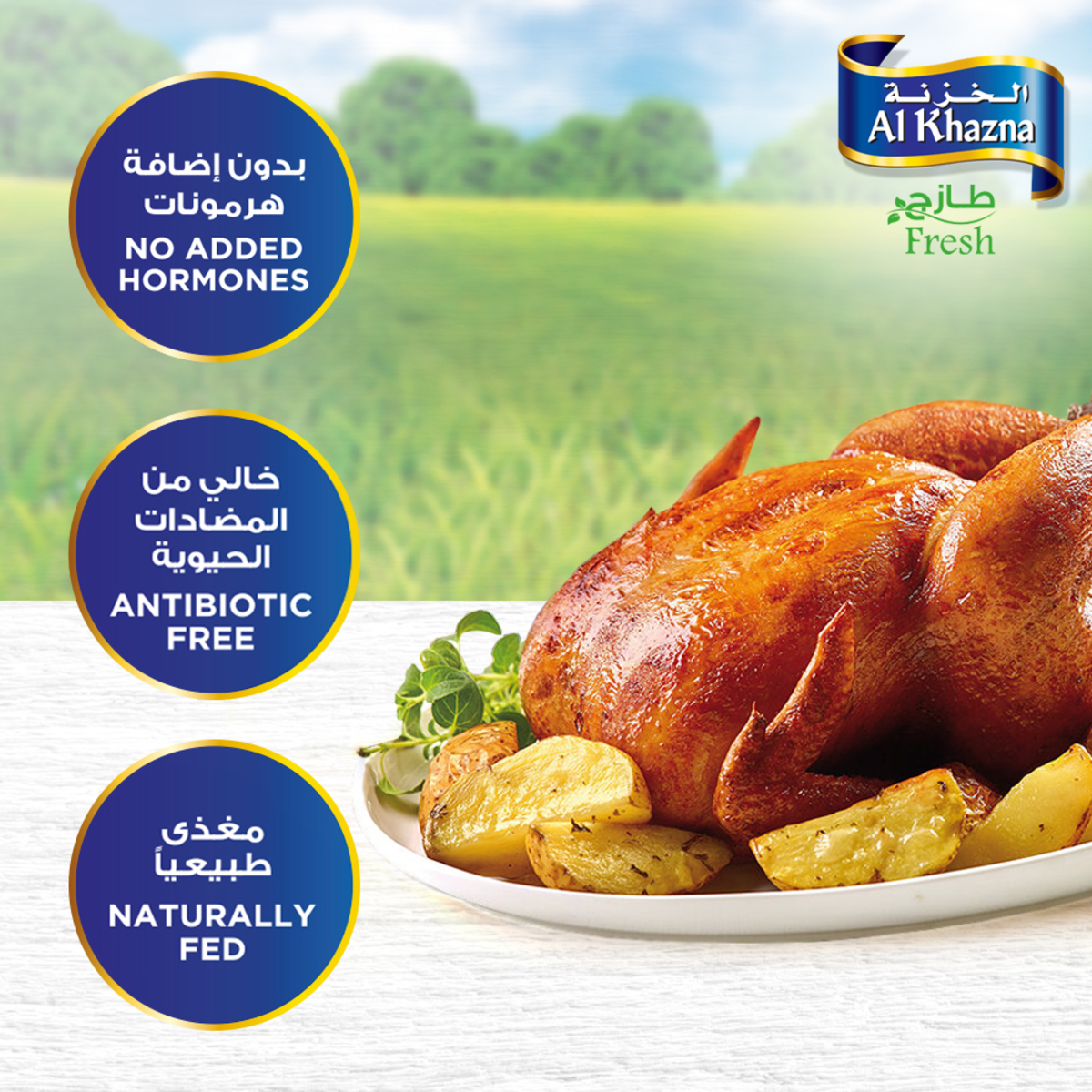 Al Khazna Fresh Whole Chicken 900 g