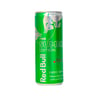 Red Bull Energy Drink Cactus 250 ml