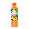 Hayatna No Added Sugar 100% Pure Mixed Fruit Nectar 500 ml