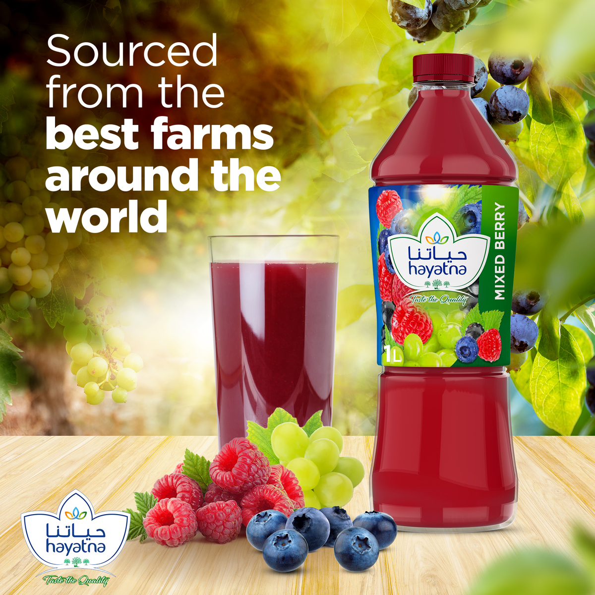 Hayatna No Added Sugar 100% Pure Mixed Berry Nectar 1 Litre