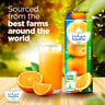 Hayatna No Added Sugar Orange Juice 1 Litre