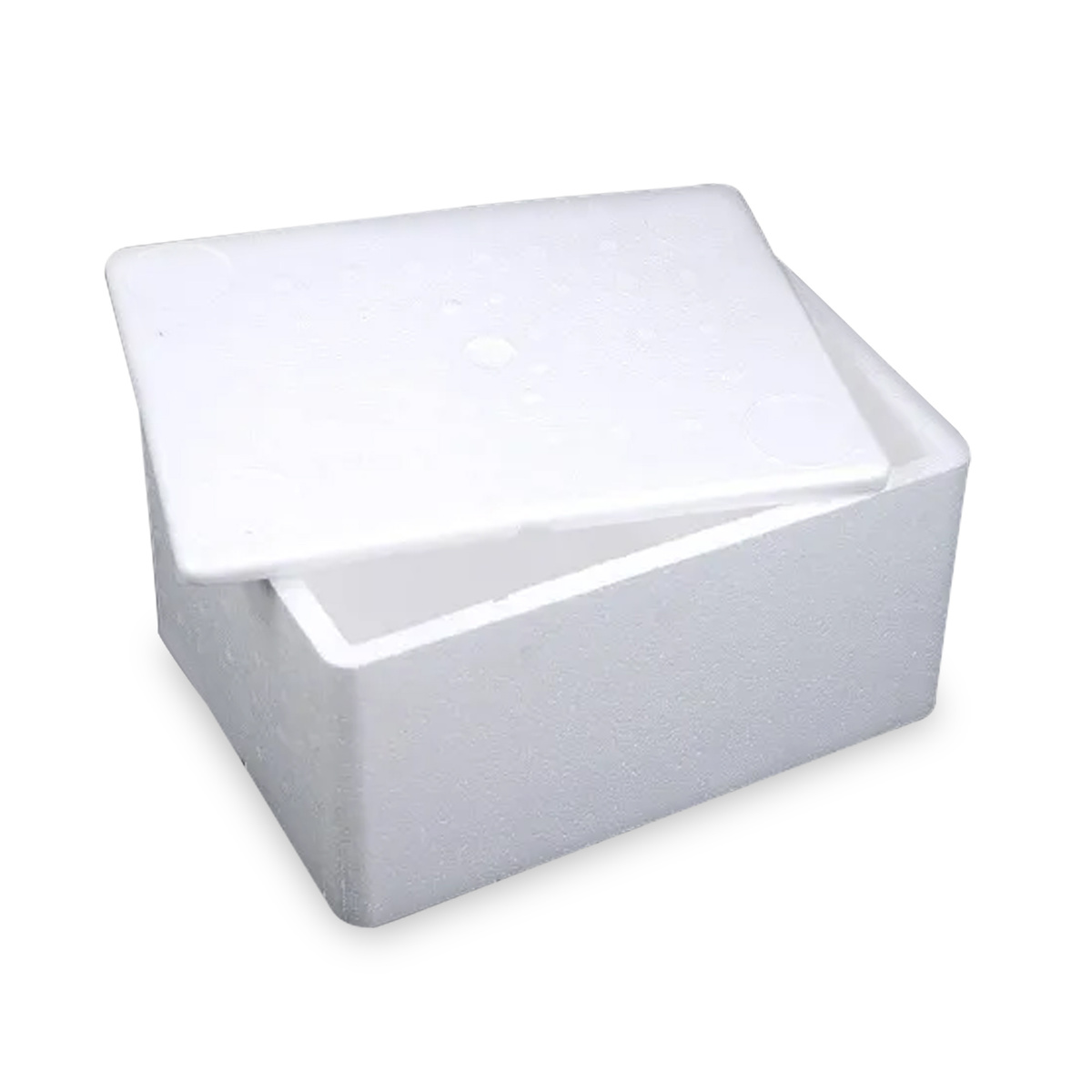 Insobox Thermocol Box 15Kg