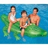 Intex Gator Ride On pc