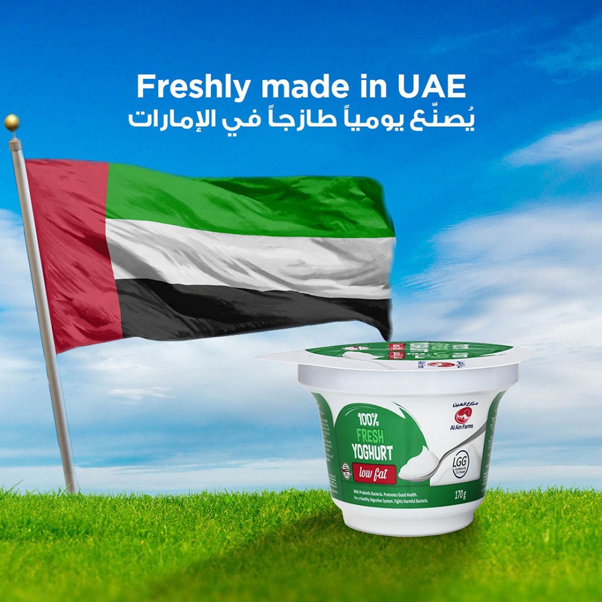 Al Ain Fresh Low Fat Yoghurt 170 g