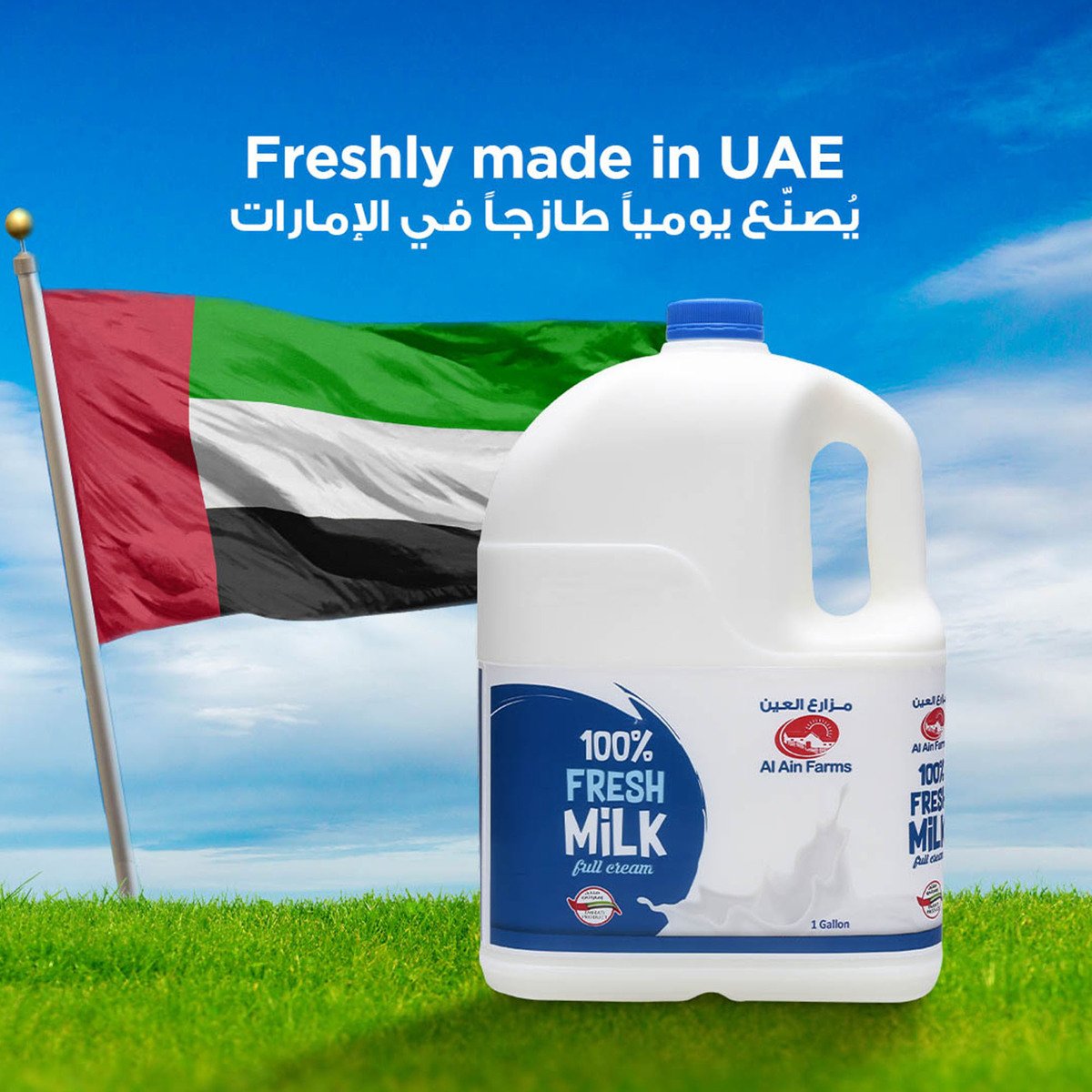 Al Ain Fresh Milk Full Cream 1 Gallon Online at Best Price Fresh Milk