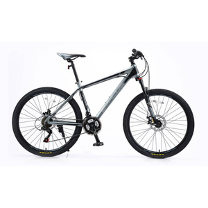 Zyklus Turbo 36 Bicycle, 26 Inches, Dark Gray, 3434