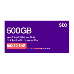 Sawa Quicknet 500 GB, 6 Months