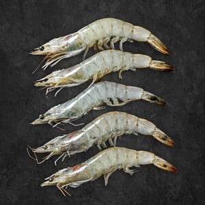 Omani Frozen Shrimps 31/40 500 g