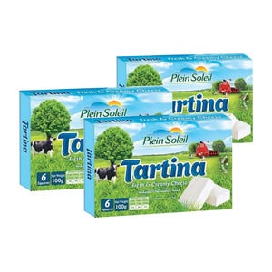 Plein Soleil Tartina Portion Cheese 6P Value Pack 3 x 100 g