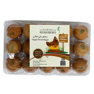 Palms Agro Vegan Brown Eggs Large 15 pcs