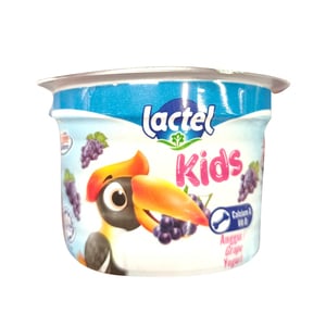 Nestle Lactel Kids Yogurt Grape 100g