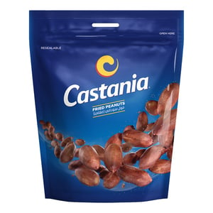 Castania Fried Peanuts 100 g