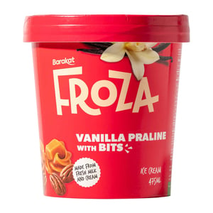 Barakat Froza Vanilla Praline with Bits Ice Cream 475 ml