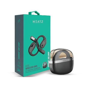 Heatz Wireless Earbuds HB8