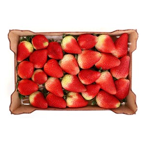 Strawberry Big Box South Africa 900 g