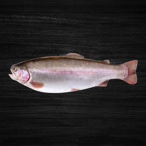 Salmon Trout Fish 1 kg