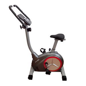 Euro Fitness Magnetic Upright Bike, MUB6230