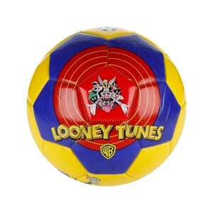 Looney Tunes Character Football Assorted Color & Design 5