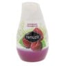 Renuzit Raspberry Framboise 198 Gm