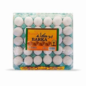 بركاء بيض أبيض عماني كبير 30 حبة