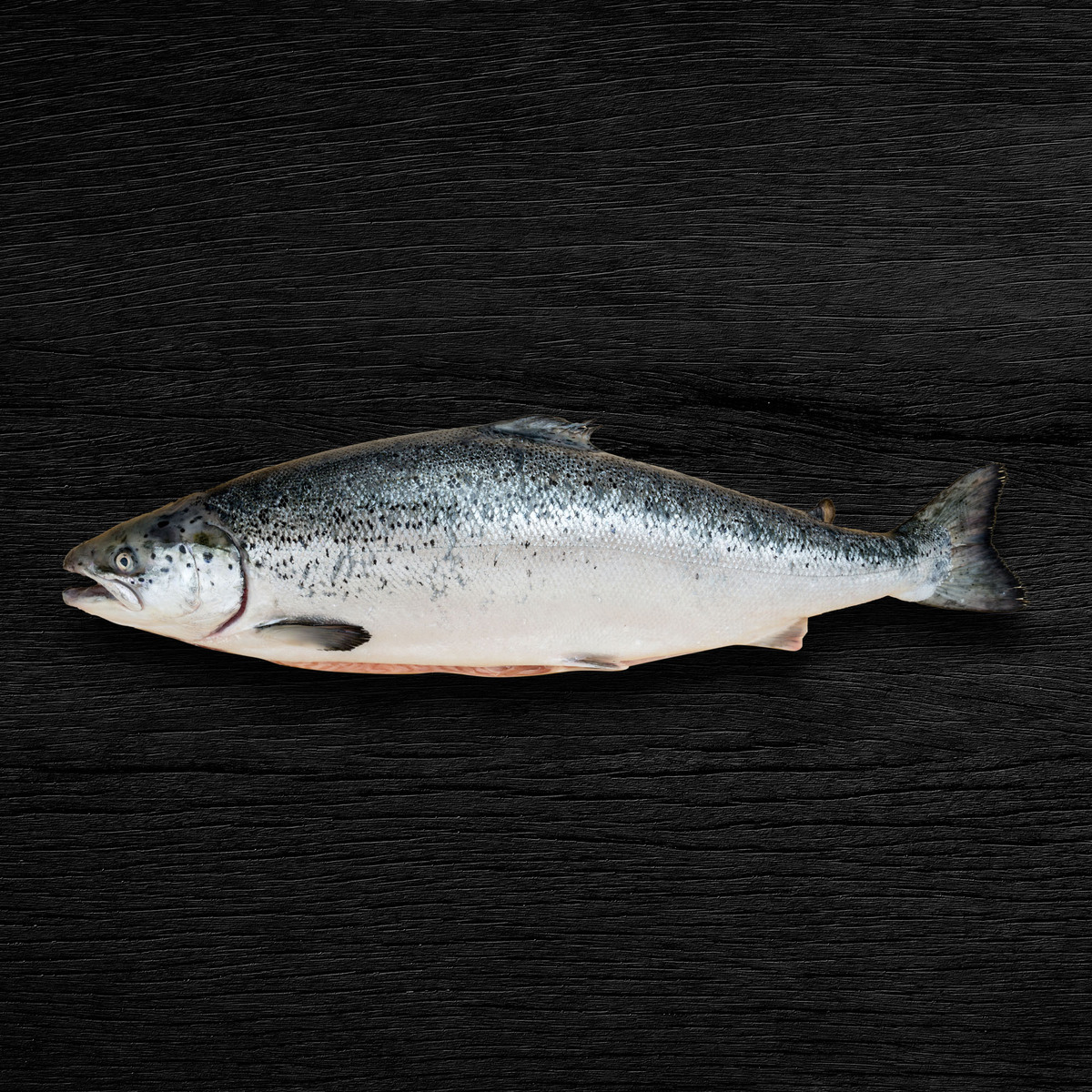 Norwegian Whole Salmon-Gutted 2.5 kg Online at Best Price | Whole Fish |  Lulu Egypt