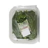 Red Veined Spinach Leaves 1 pkt