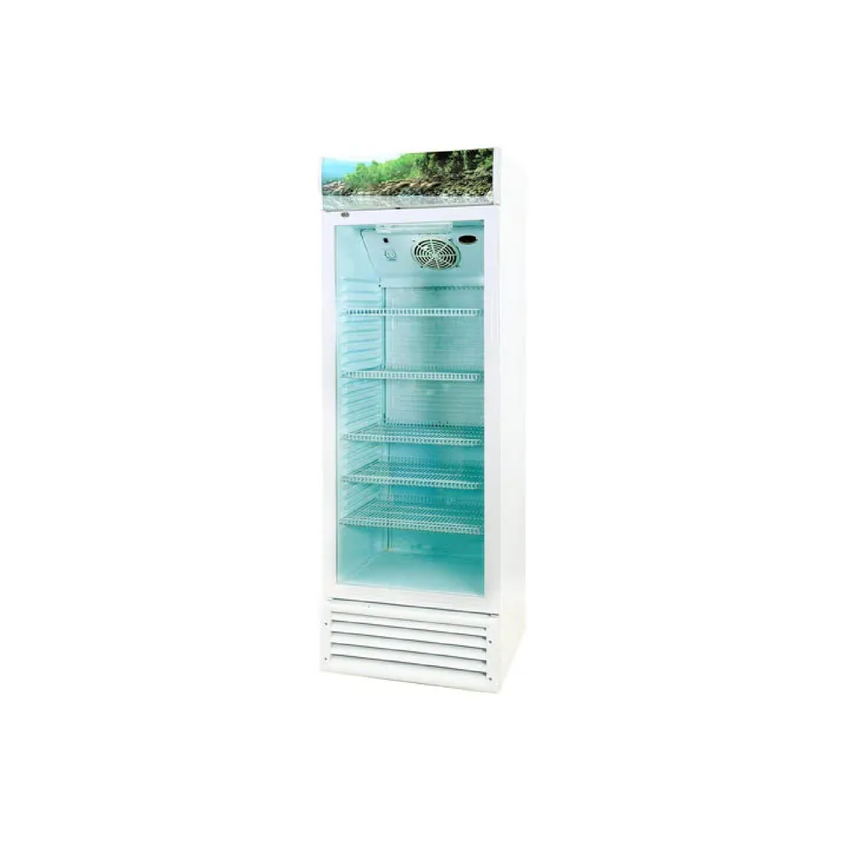 Super General Chiller, 450 L Gross Capacity, White, SGSC455N1