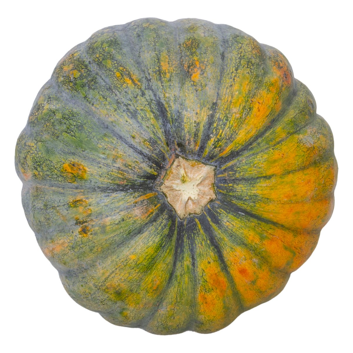 Organic Pumpkin 1 kg