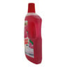 Ajax Fabuloso Rose Multipurpose Cleaner 1Litre