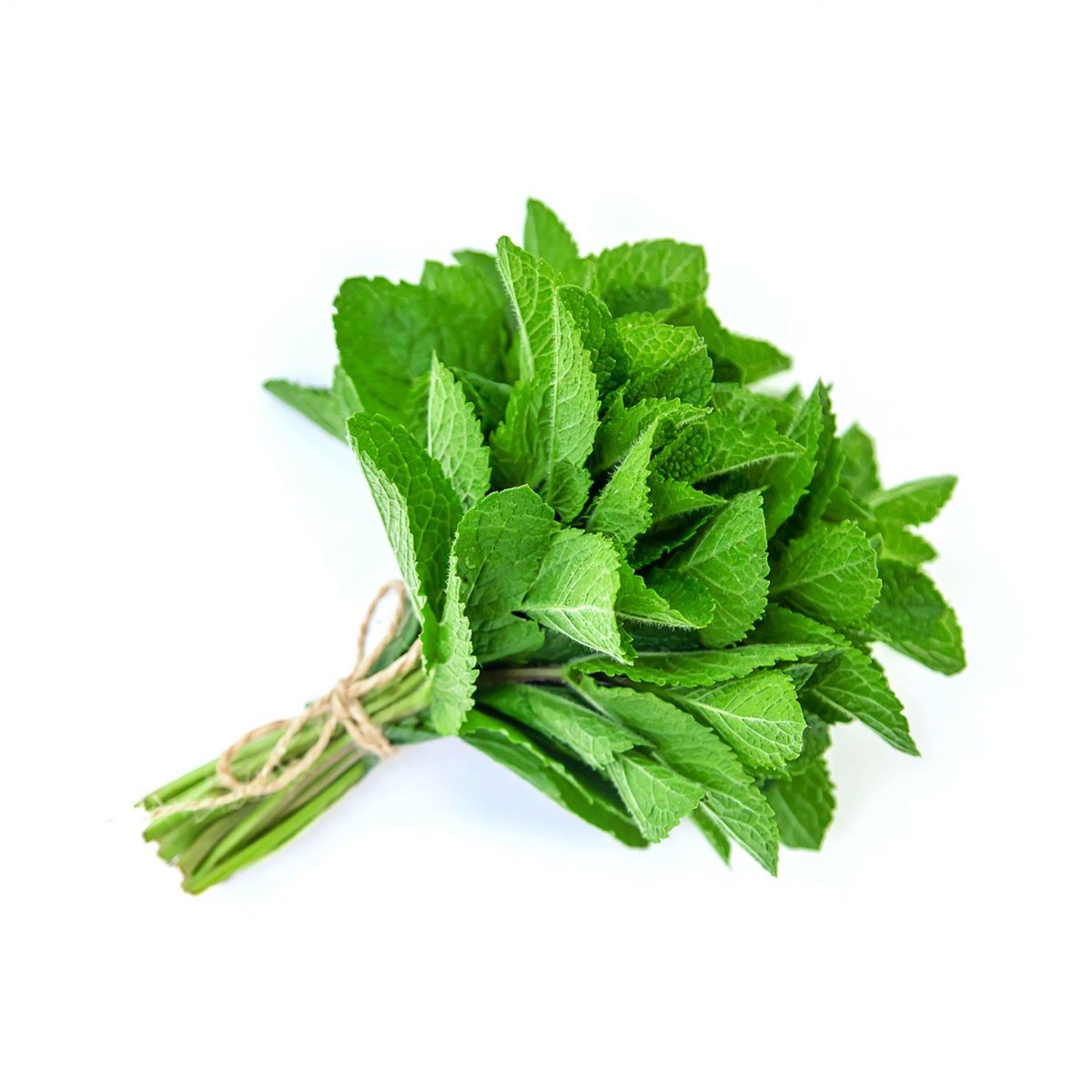 Daun Pudina 100g Approx. Weight