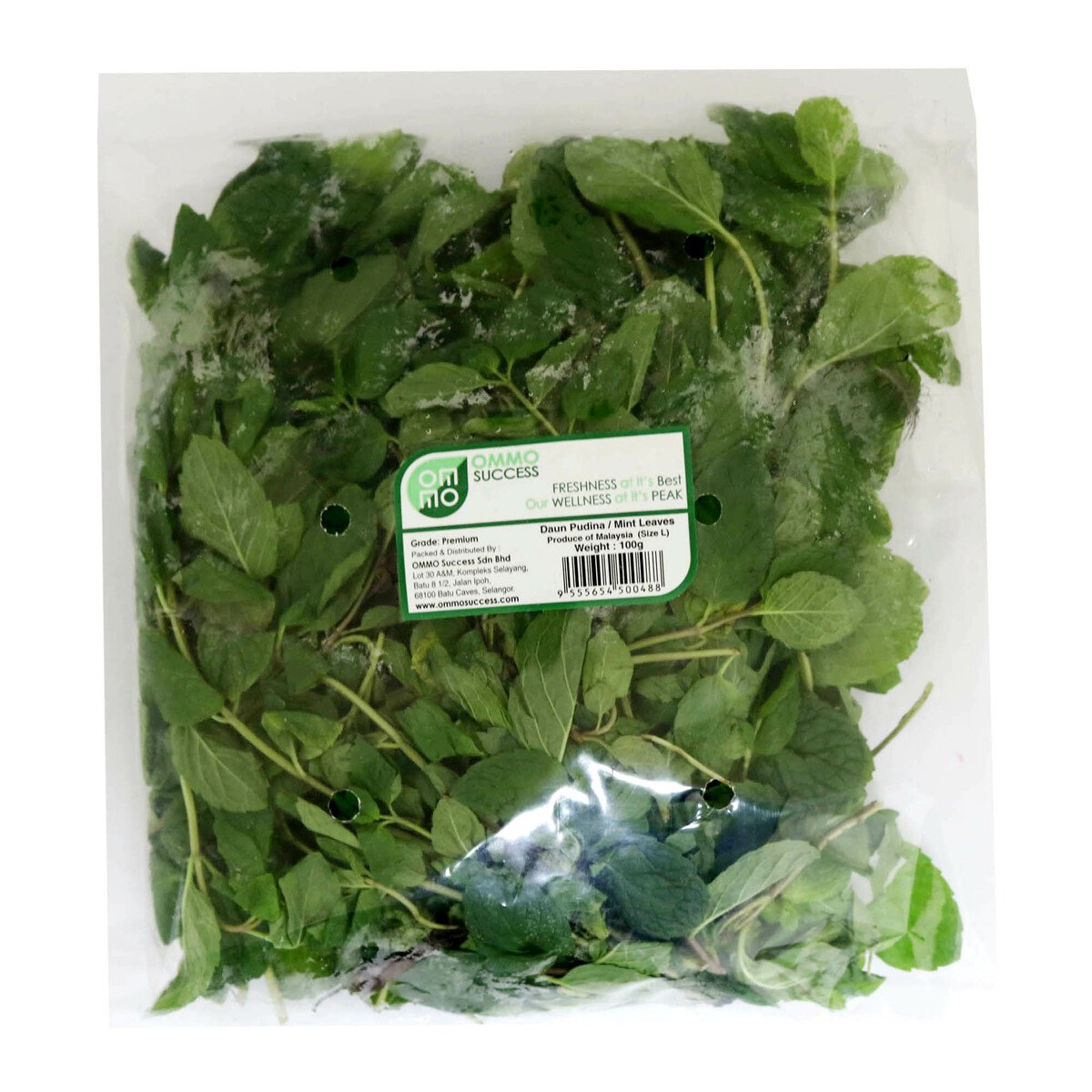 Daun Pudina 100g Approx. Weight