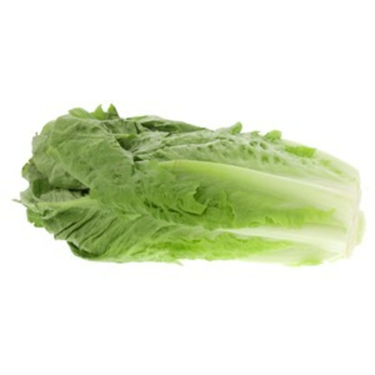 romaine