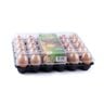 Bidiyah Brown Egg 30pcs