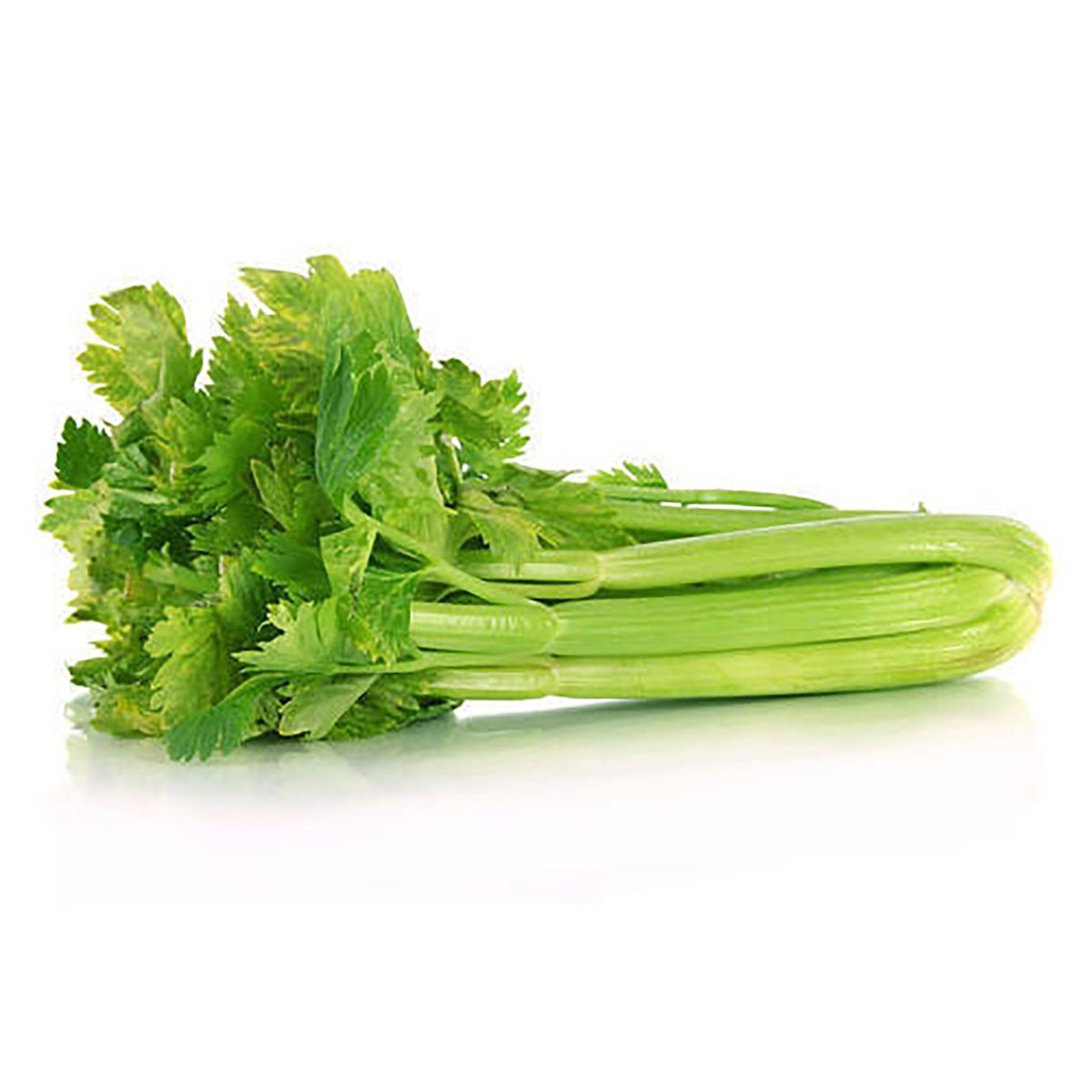 Celery UK 1 pc