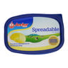 Anchor Spreadable Butter 200g